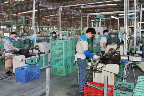懷文抱質(zhì)，匠心木魂 陽江竹木企業(yè)以工業(yè)酶制劑研發(fā)引領(lǐng)粵東西北外貿(mào)出口
